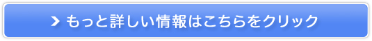 LC{Ɋp[X[bƌys[`bNstz̔TCg
